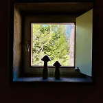 Ca'mugo, A In The Magic Woods, Near Cortina * Vodo Cadore