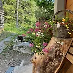 Ca'mugo, A In The Magic Woods, Near Cortina *