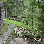Ca'mugo, A In The Magic Woods, Near Cortina Chalet *