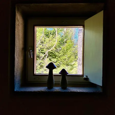 Ca'mugo, A In The Magic Woods, Near Cortina * 보도 카도레