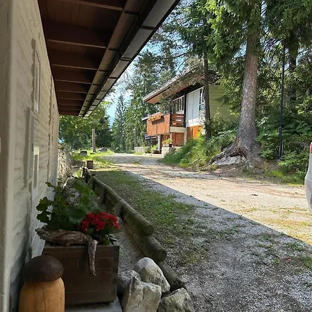 Ca'mugo, A In The Magic Woods, Near Cortina * Vodo Cadore