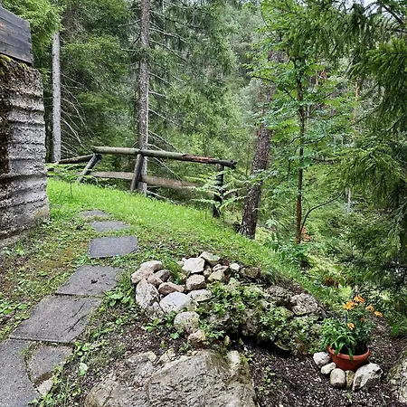 Ca'mugo, A In The Magic Woods, Near Cortina 샬레 *